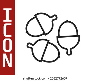 Black line Acorn icon isolated on white background.  Vector