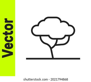 Icono de árbol africano de línea negra aislado en fondo blanco. Baobab, acacia y otros.  Vector