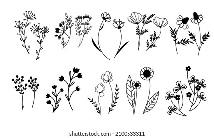 Black line art branches and flowers set. Doodle style field and meadow plants. Collection of hand drawn floral flowers, leaves and berries. Wild flowers