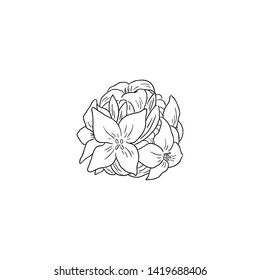 Black Line Art Daphne odora Flower in Hand Drawing Vector Art. Winter Daphne