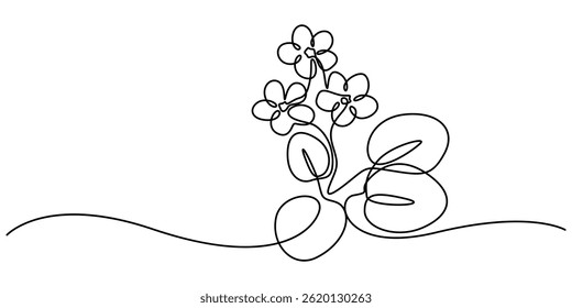 A black line art drawing of an African violet with a stylized flowering plant. An illustration of a Saintpaulia flowering plant on a white background, African violet in continuous line art drawing one
