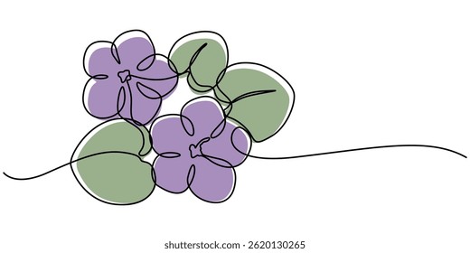 A black line art drawing of an African violet with a stylized flowering plant. An illustration of a Saintpaulia flowering plant on a white background, African violet in continuous line art drawing one