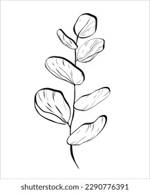 Black line art of a eukalyptus. Vector illustration. Doodle style. Outline illustration with green colors. For design, print, logo, decor, textile, paper.