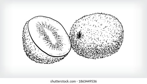 Black line art illustration of whole ripe kiwi fruit and half kiwi fruit isolated on white background.