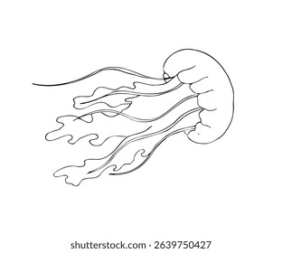 black line art of a jellyfish with flowing tentacles on a clean white background. Hand-drawn in a minimal style, perfect for marine-themed decor, coloring pages, tattoo designs,