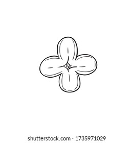 Black Line Art for Lilac (Syringa Vulgaris) Flower in Hand Drawing Vector Art is a genus of 12 currently recognized species of flowering woody plants in the olive family
