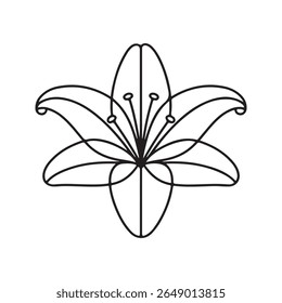 Black Line Art Lily Flower Botanical Illustration floral