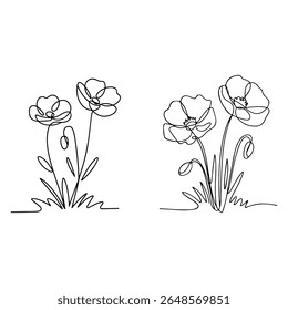 Black Line Art Poppies on White Background poppy flower