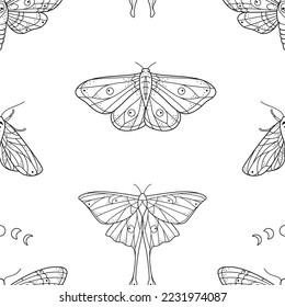 Black line art stylized butterfly and moth seamless pattern. Flying insects background for spring wallpaper, fabric, wrapping paper. Ornate butterflies and moths. Nature wildlife repeat design.