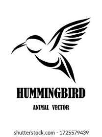 black line art Vector illustration on a white background of flying hummingbirds. Suitable for making logo.