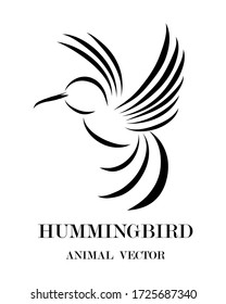 Black line art Vector illustration on a white background of flying hummingbirds. Suitable for making logos