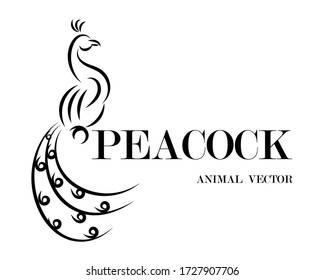 Black line art Vector illustration on a white background of a peacock. Suitable for making logos