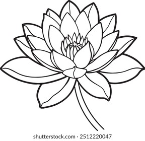 Black line art of water lily flowers for kids coloring book colour page doodle art in white background