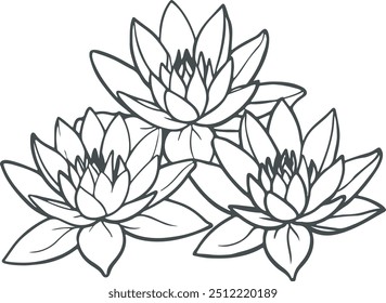 Black line art of water lily flowers for kids coloring book colour page doodle art in white background