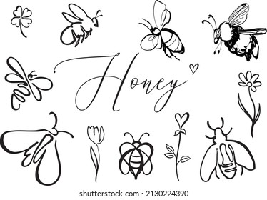 Black line bee, flower, bumblebee summer, honey script. Vector Outline illustration. Nature doodle insects. Monochrome floral line art. Hand drawn simple garden logo