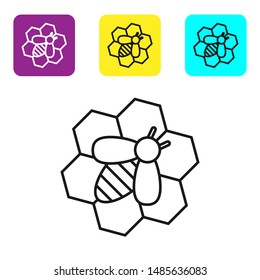 Black line Bee and honeycomb icon on white background. Honey cells. Honeybee or apis with wings symbol. Flying insect. Sweet natural food. Set icons colorful square buttons. Vector Illustration