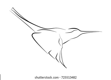 The black line bird on white background. Vector graphic humming bird. Animal illustration.