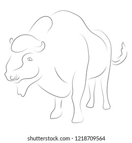 Black line bison on white background. Hand drawing vector. Sketch style graphic animal.