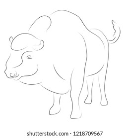 Black line bison on white background. Hand drawing vector. Sketch style graphic animal.