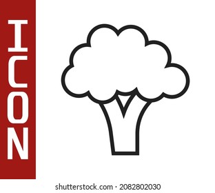 Schwarze Linie Broccoli Symbol einzeln auf weißem Hintergrund.  Vektorgrafik