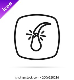 Black line Broken hair follicle icon isolated on white background. Hair care treatment.  Vector