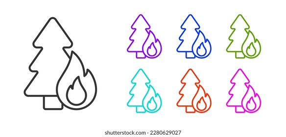 Black line Burning forest trees in fire flames icon isolated on white background. Natural disaster concept. Set icons colorful. Vector