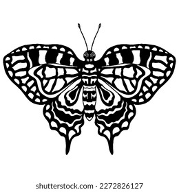 Black line butterfly for greeting card, coloring book. Vector butterfly isolated