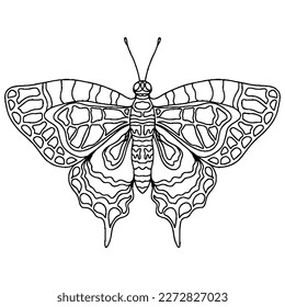 Black line butterfly for greeting card, coloring book. Vector butterfly isolated