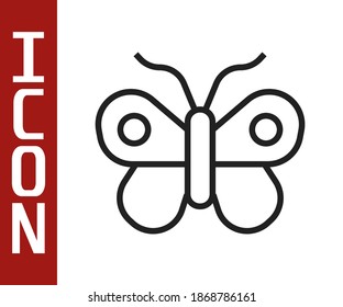 Black line Butterfly icon isolated on white background.  Vector