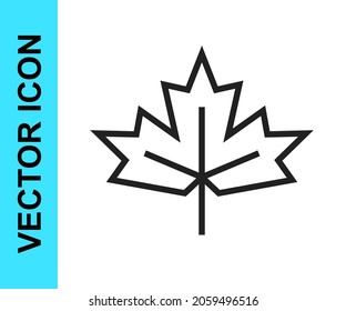 Icono de hoja de arce canadiense de línea negra aislado en fondo blanco. Símbolo de Canadá hoja de arce.  Vector