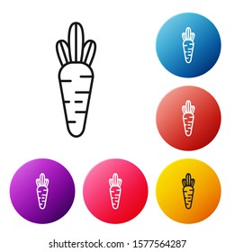 Black line Carrot icon isolated on white background. Set icons colorful circle buttons. Vector Illustration