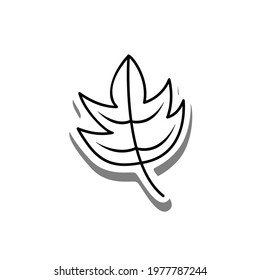 Black line cartoon jagged leaf on white silhouette and gray shadow. Icon Emoji for decoration or any design. Vector illustration of nature.