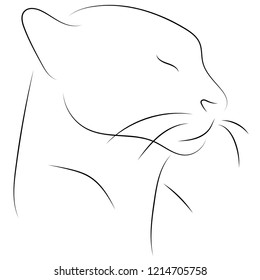 Black line cat head on white background. Hand drawing vector graphic animal.
