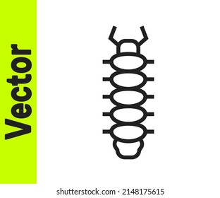 Black line Centipede insect icon isolated on white background.  Vector