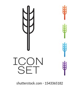 Black line Cereals set with rice, wheat, corn, oats, rye, barley icon isolated on white background. Ears of wheat bread symbols. Set icons colorful. Vector Illustration