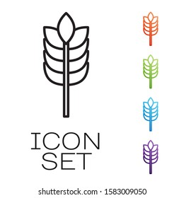 Black line Cereals set with rice, wheat, corn, oats, rye, barley icon isolated on white background. Ears of wheat bread symbols. Set icons colorful. Vector Illustration