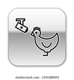 Black line Chicken farm and wireless Controlling CCTV security camera icon isolated on white background. Silver square button. Vector Illustration