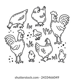 Black line chickens set isolated on white background.Farm animal print with outlines chick,hen and rooster.Coloring page with cute birds,grass and grains.Doodle elements for use in card,banner,cover.