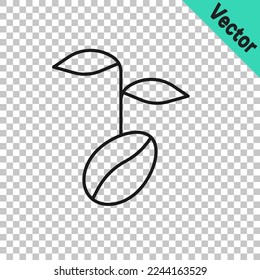 Black line Coffee beans icon isolated on transparent background.  Vector