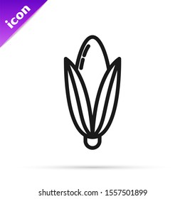 Black line Corn icon isolated on white background.  Vector Illustration