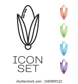 Black line Corn icon isolated on white background. Set icons colorful. Vector Illustration