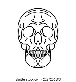 black line design skull vector