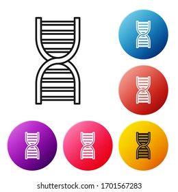 Black line DNA symbol icon isolated on white background. Set icons colorful circle buttons. Vector Illustration