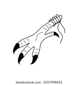 Black line Doodle Chicken paw with claws for magic rituals, occult Ingredient for making potion. Chicken feet Witch accessory. Isolated Vector illustration theme magic, Halloween, esoteric.