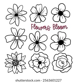 Black Line Doodle Flowers Bloom on White Background. Message ‘Flowers Bloom' Vector illustration about Nature.