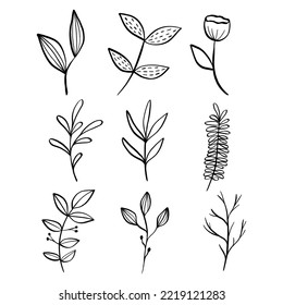 Black line doodle flowers and leaves on white background. Vector illustration about nature.