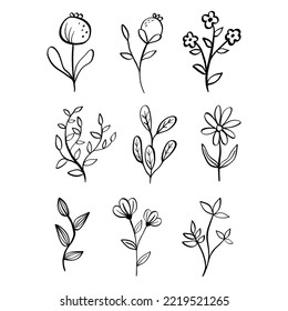 Black line doodle flowers and leaves on white background. Vector illustration about nature.