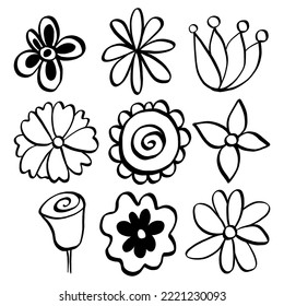 Black line doodle flowers on white background. Vector illustration about nature.