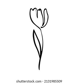 Black line doodle simple tulip. Vector Outline illustration. Nature monochrome line art design. Hand drawn simple linear art