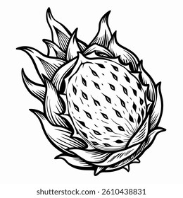 black line drawing of dragon fruit
